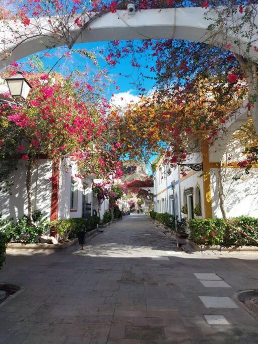 Vv Timon Apartment Puerto De Mogan Bagian luar foto